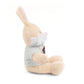 ANV Stuffed Animals with Tee