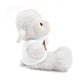 ANV Stuffed Animals with Tee