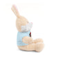 ANV Stuffed Animals with Tee