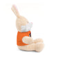 ANV Stuffed Animals with Tee